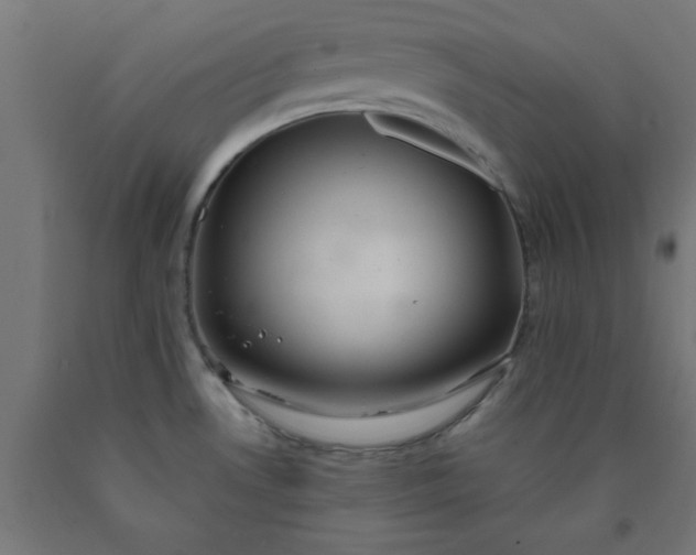 X0000090621530200707311233