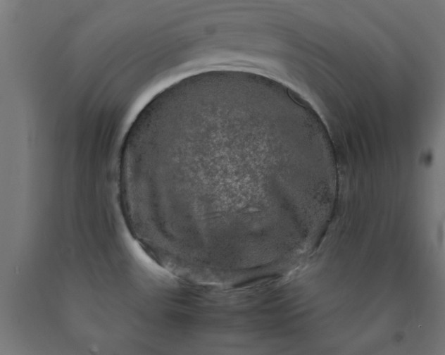 X0000090621531200707311233