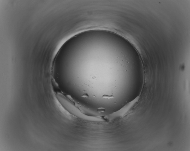 X0000090621532200707311233