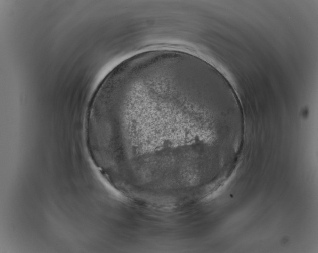 X0000090621533200707311233