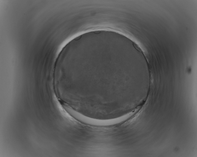 X0000090621534200707311233