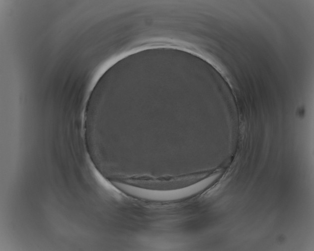 X0000090621535200707311233