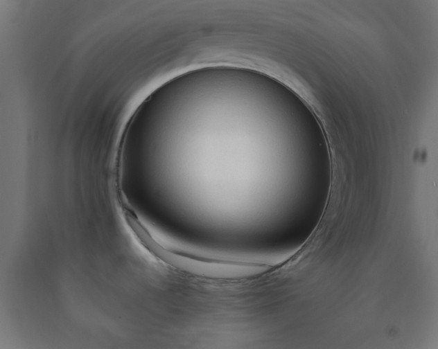 X0000090621536200707311233