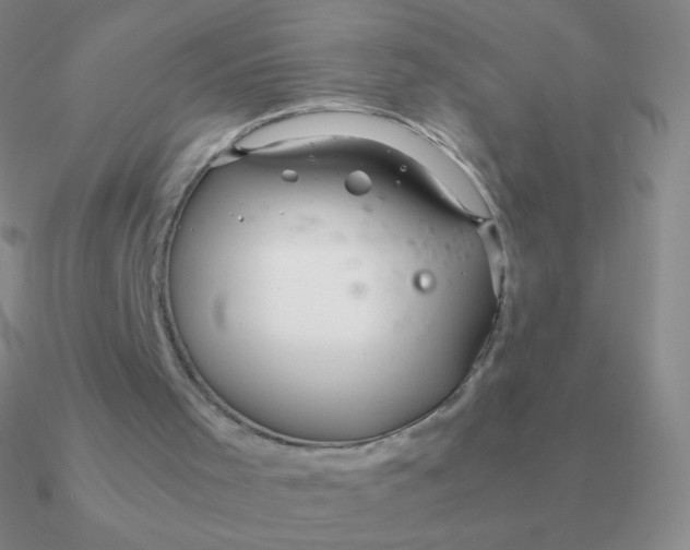 X0000090620001200708071234