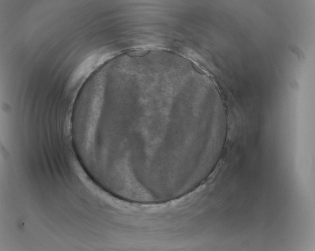 X0000090620002200708071234