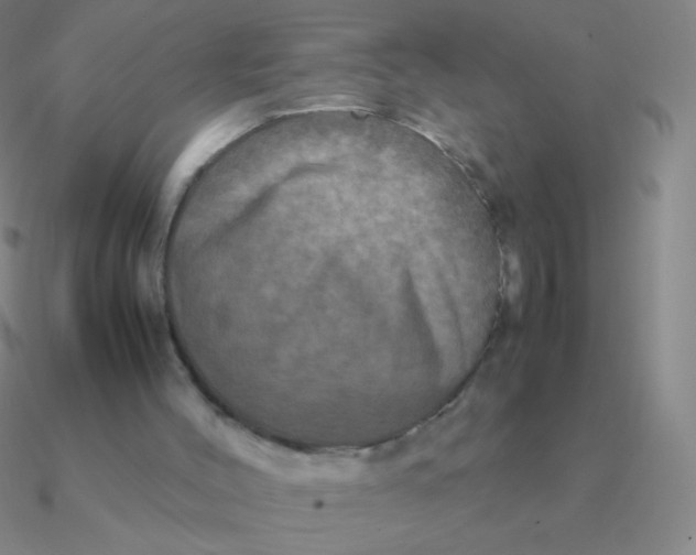 X0000090620004200708071234