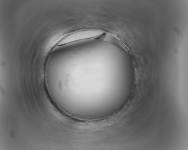 X0000090620005200708071234