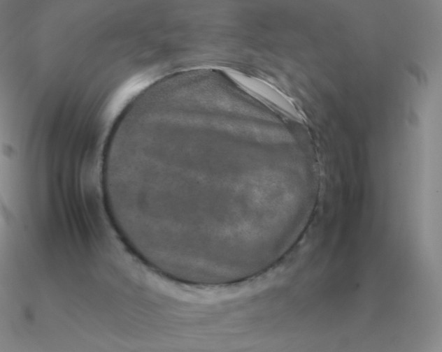 X0000090620006200708071234