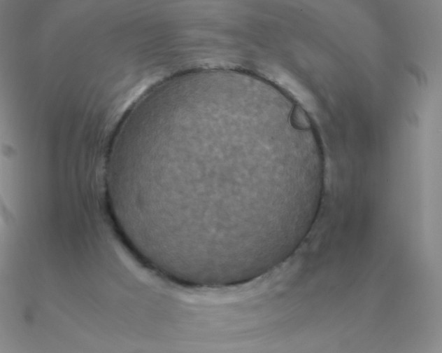 X0000090620009200708071234