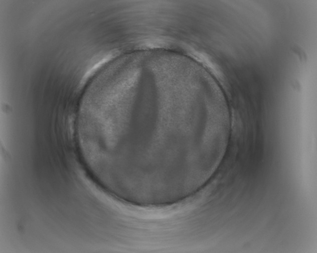 X0000090620010200708071234