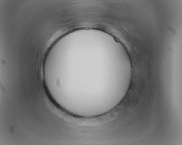 X0000090620011200708071234