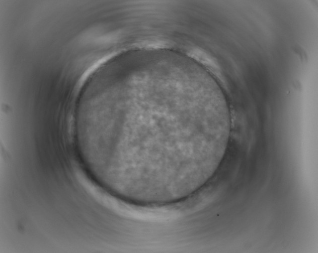 X0000090620012200708071234