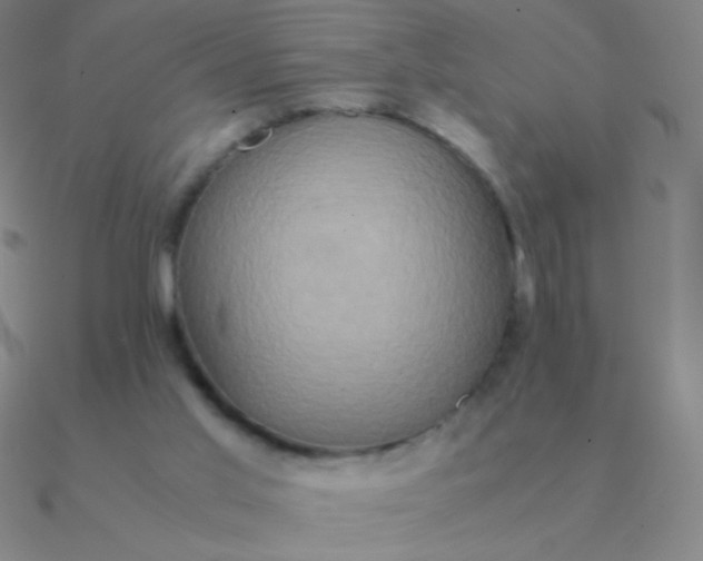 X0000090620013200708071234