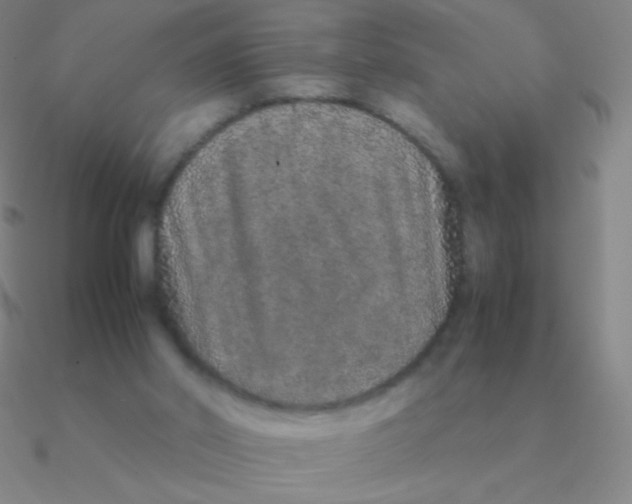 X0000090620014200708071234