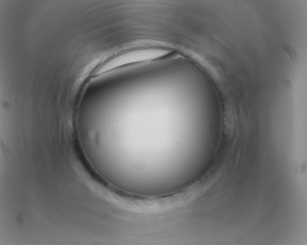 X0000090620015200708071234