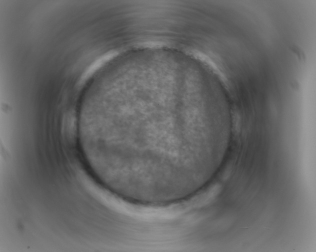 X0000090620016200708071234