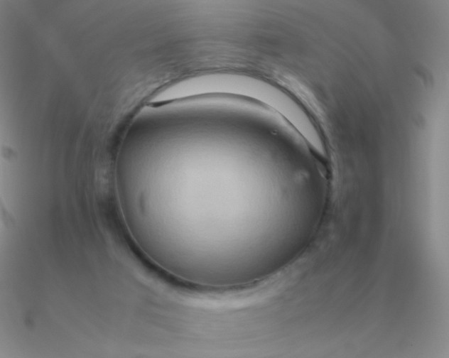 X0000090620017200708071234