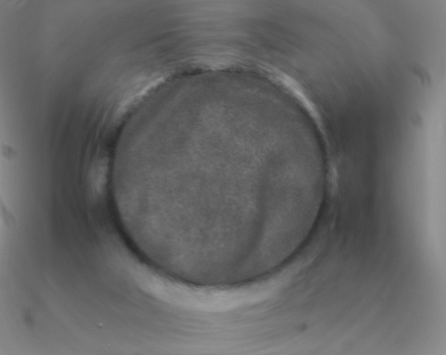 X0000090620018200708071234