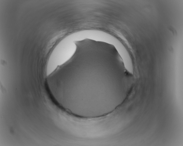 X0000090620019200708071234