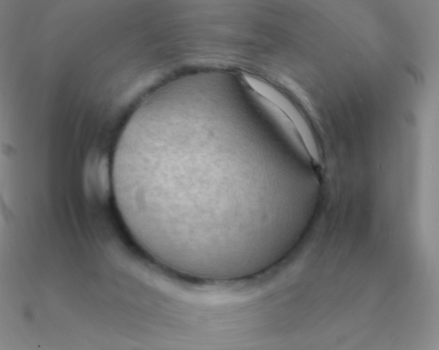 X0000090620020200708071234