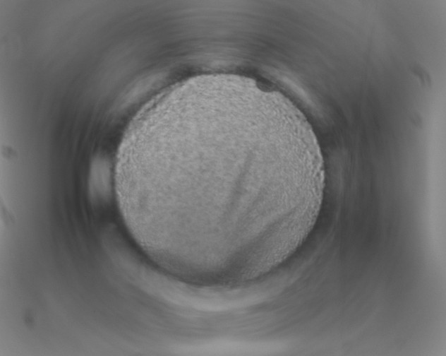 X0000090620022200708071234