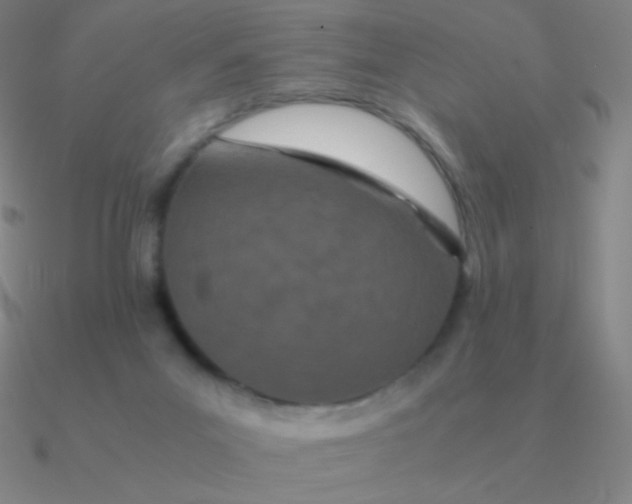 X0000090620023200708071234