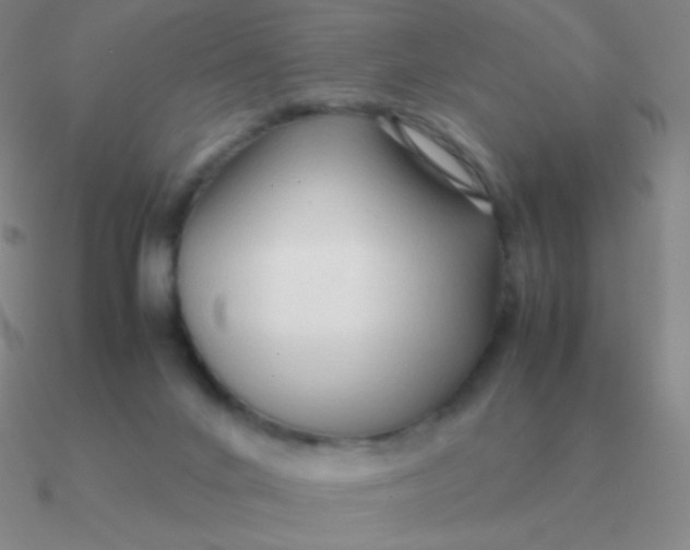 X0000090620024200708071234