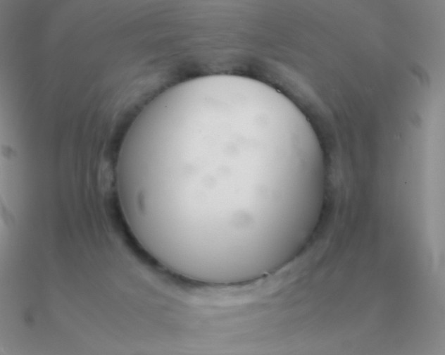 X0000090620025200708071234