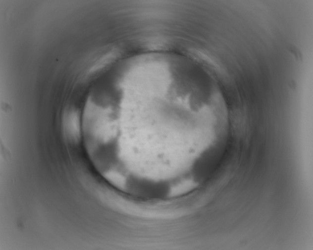 X0000090620028200708071234