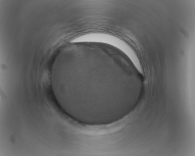 X0000090620029200708071234