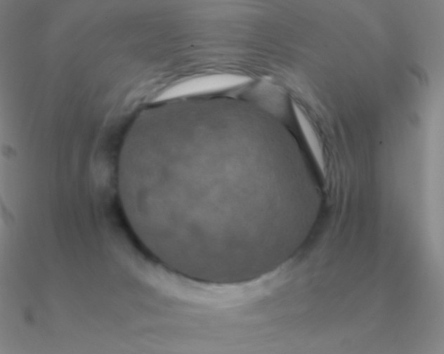 X0000090620031200708071234