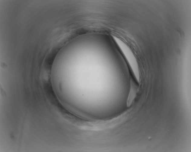 X0000090620033200708071234