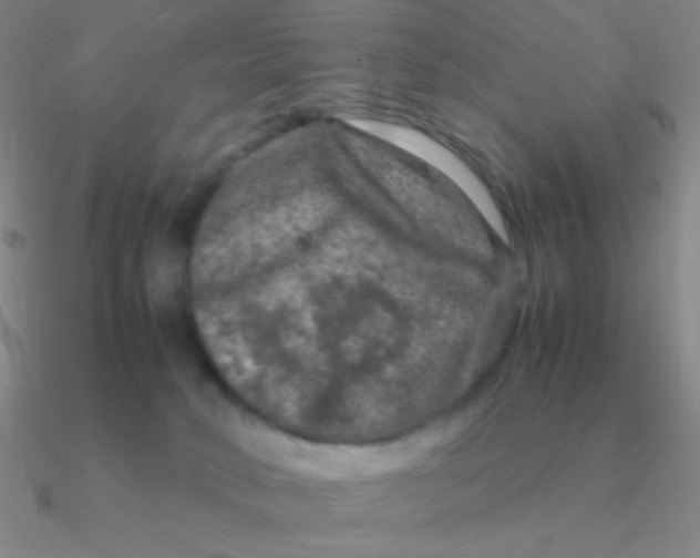 X0000090620034200708071234