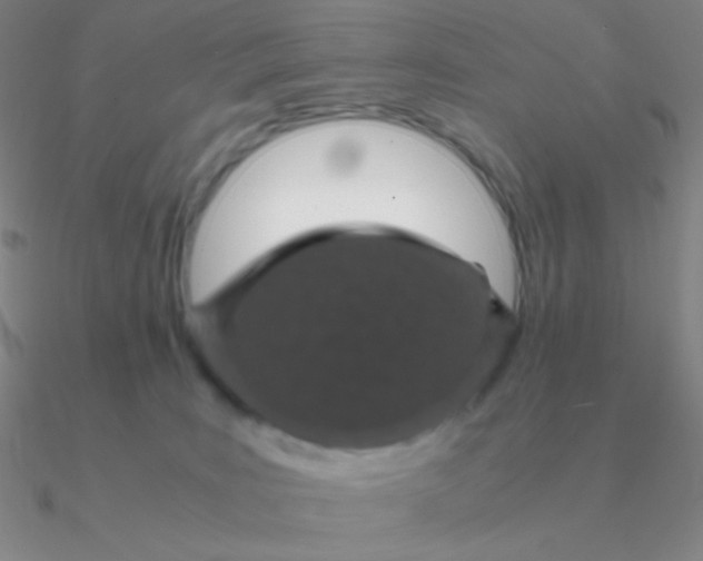 X0000090620035200708071234