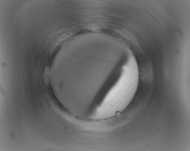 X0000090620036200708071234