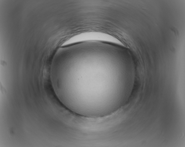 X0000090620037200708071234