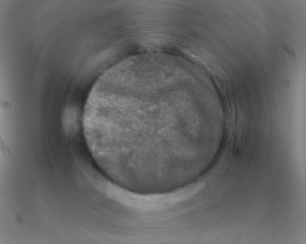 X0000090620038200708071234