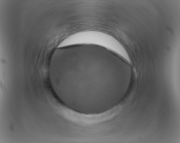 X0000090620039200708071234