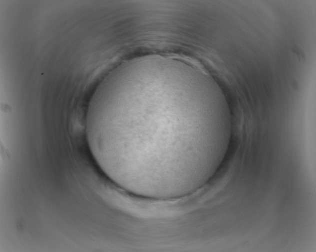 X0000090620040200708071234