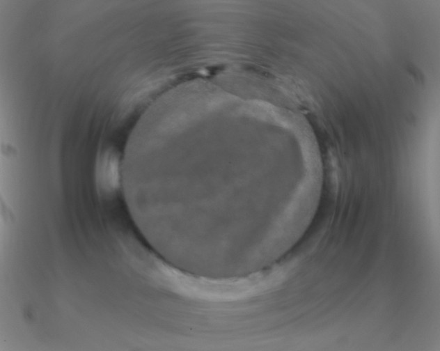 X0000090620042200708071234