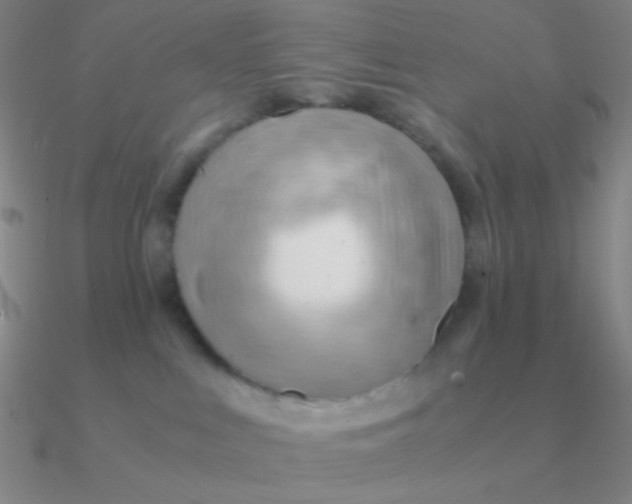 X0000090620043200708071234