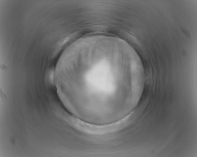 X0000090620047200708071234