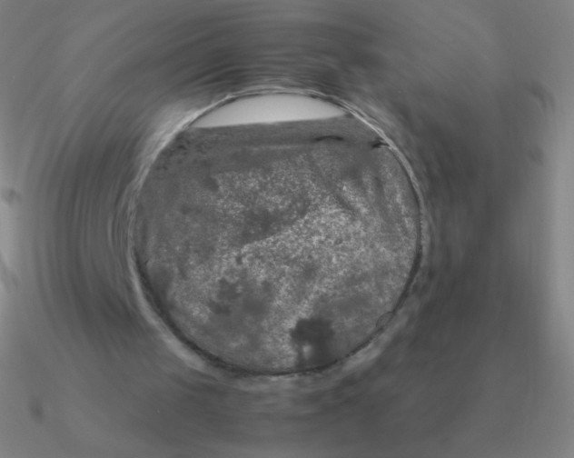 X0000090620049200708071233