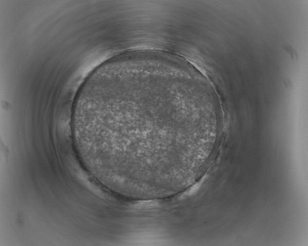 X0000090620050200708071233