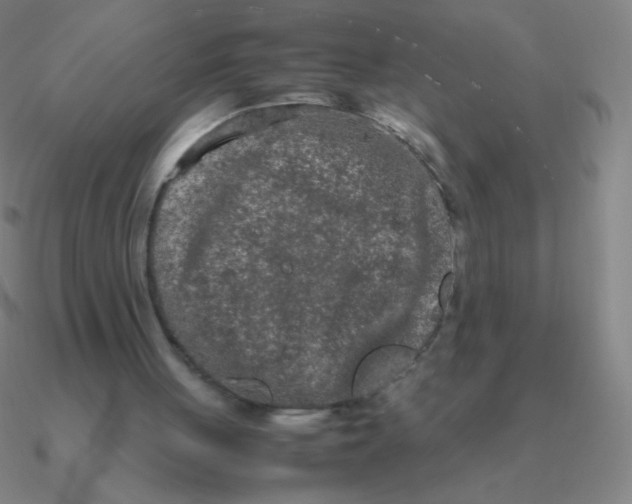 X0000090620051200708071233