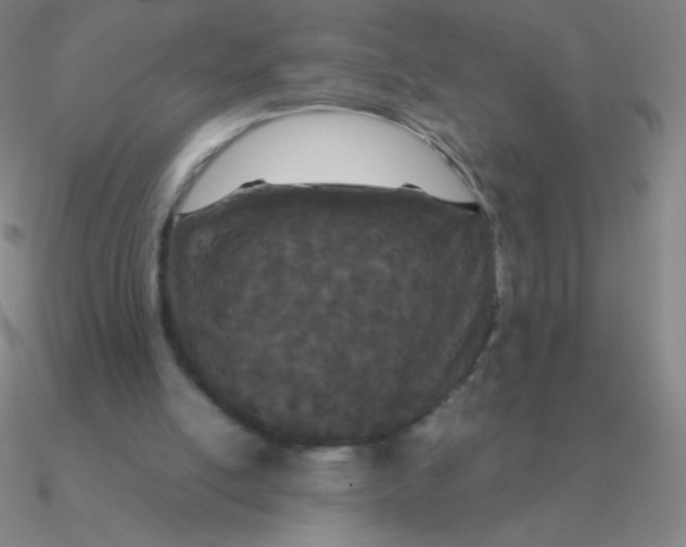 X0000090620054200708071233