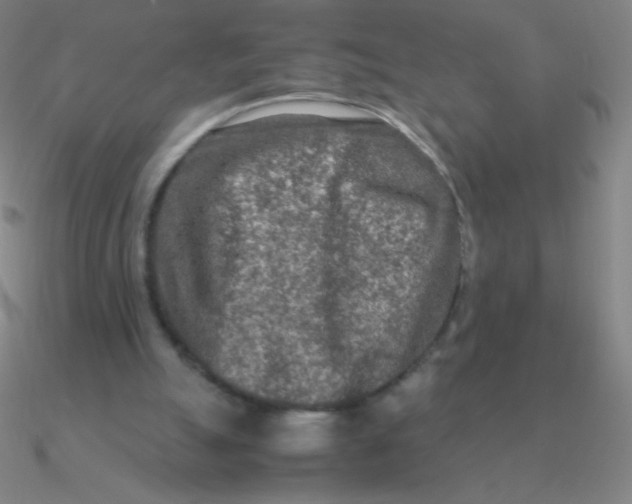 X0000090620055200708071233