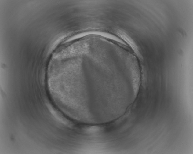 X0000090620058200708071233