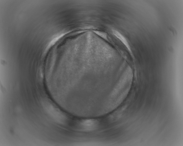 X0000090620059200708071233