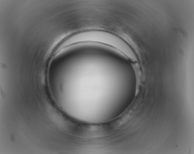 X0000090620060200708071233